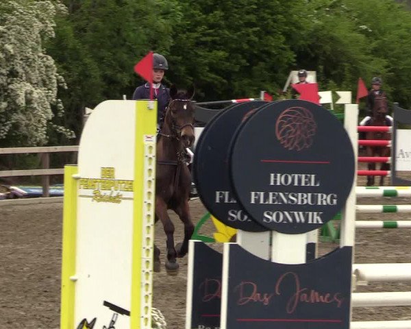 Reitturnier Kleinsolt 2022