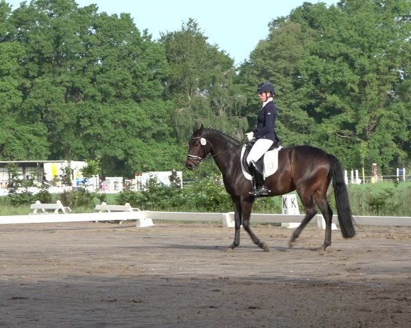 Reitturnier Alvern 2022