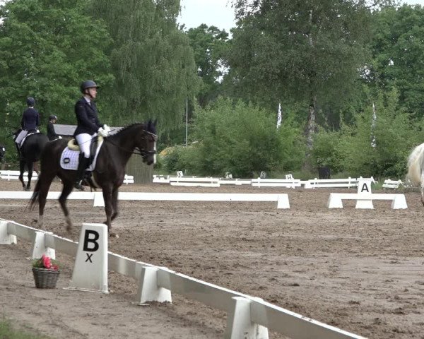 Reitturnier Alvern 2022