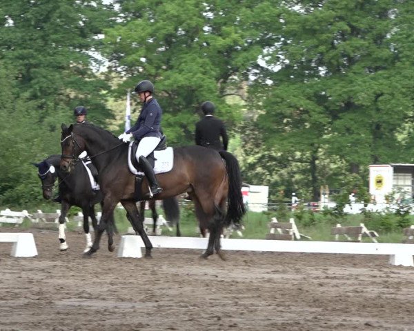 Reitturnier Alvern 2022