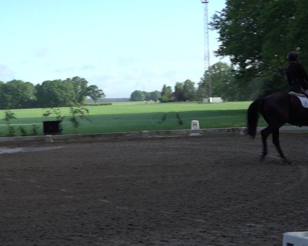 Reitturnier Alvern 2022