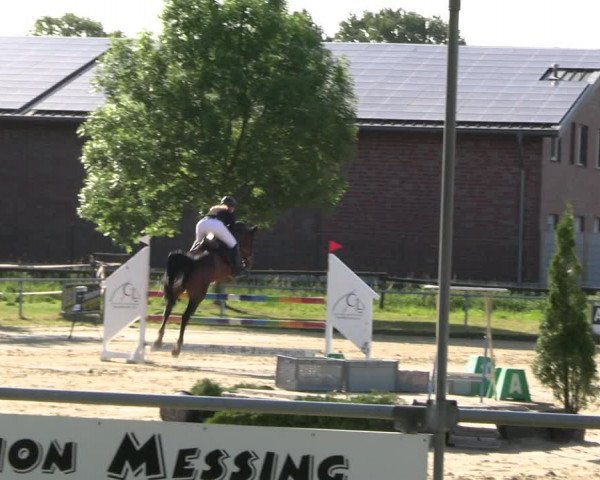 Reitturnier Coesfeld/Lette 2022