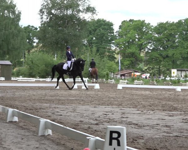 Reitturnier Alvern 2022