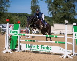 jumper Cascana P (Oldenburg show jumper, 2014, from Casall Ask)
