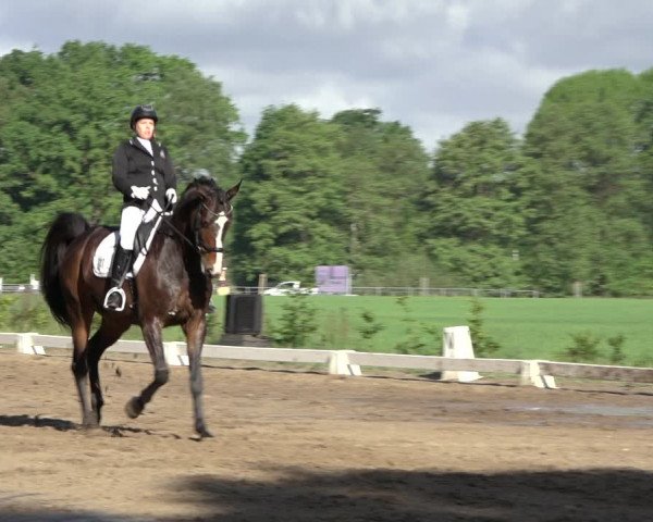 Reitturnier Alvern 2022