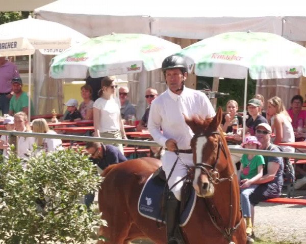 Reitturnier Winnenden 2022