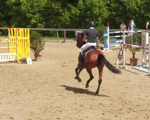 Reitturnier Winnenden 2022