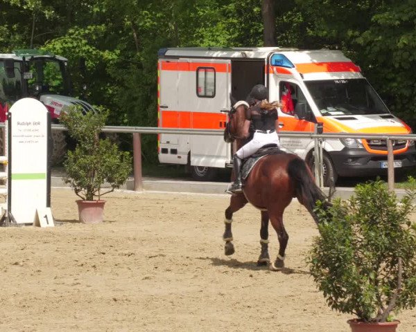 Reitturnier Winnenden 2022