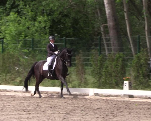 Reitturnier Schönwalde-Glien 2022
