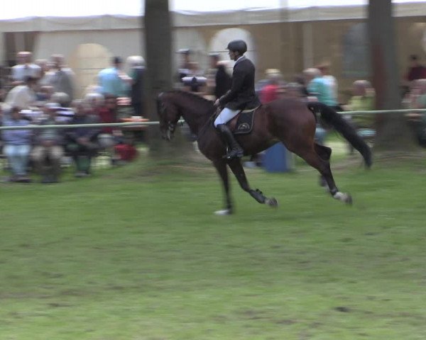 Reitturnier Helmsdorf 2022