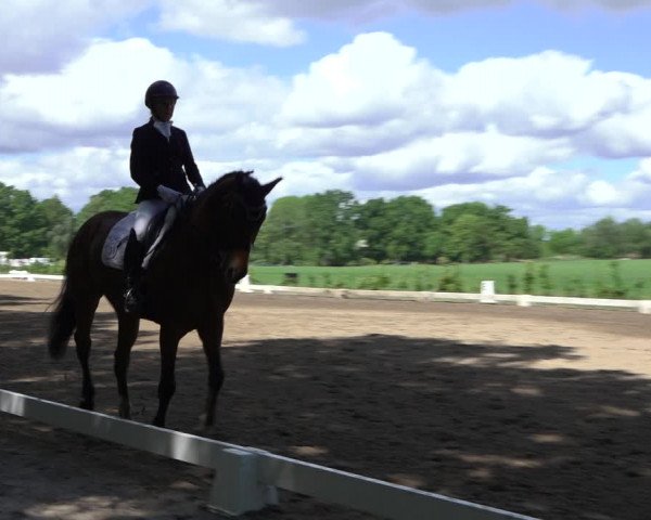 Reitturnier Alvern 2022