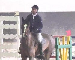 broodmare Colorina (Oldenburg show jumper, 2006, from Couleur Rubin)