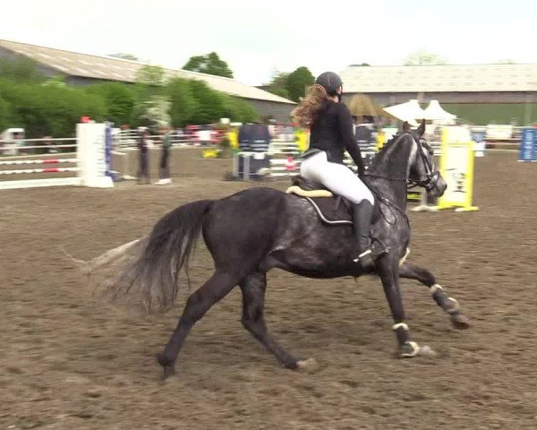 Reitturnier Kleinsolt 2022