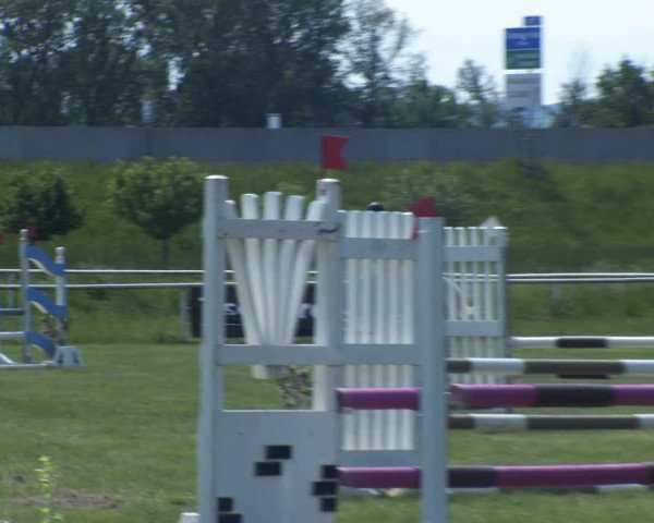 Reitturnier Jettsdorf 2022