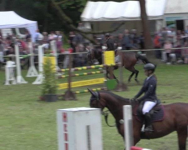 Reitturnier Helmsdorf 2022