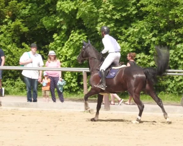 Reitturnier Winnenden 2022