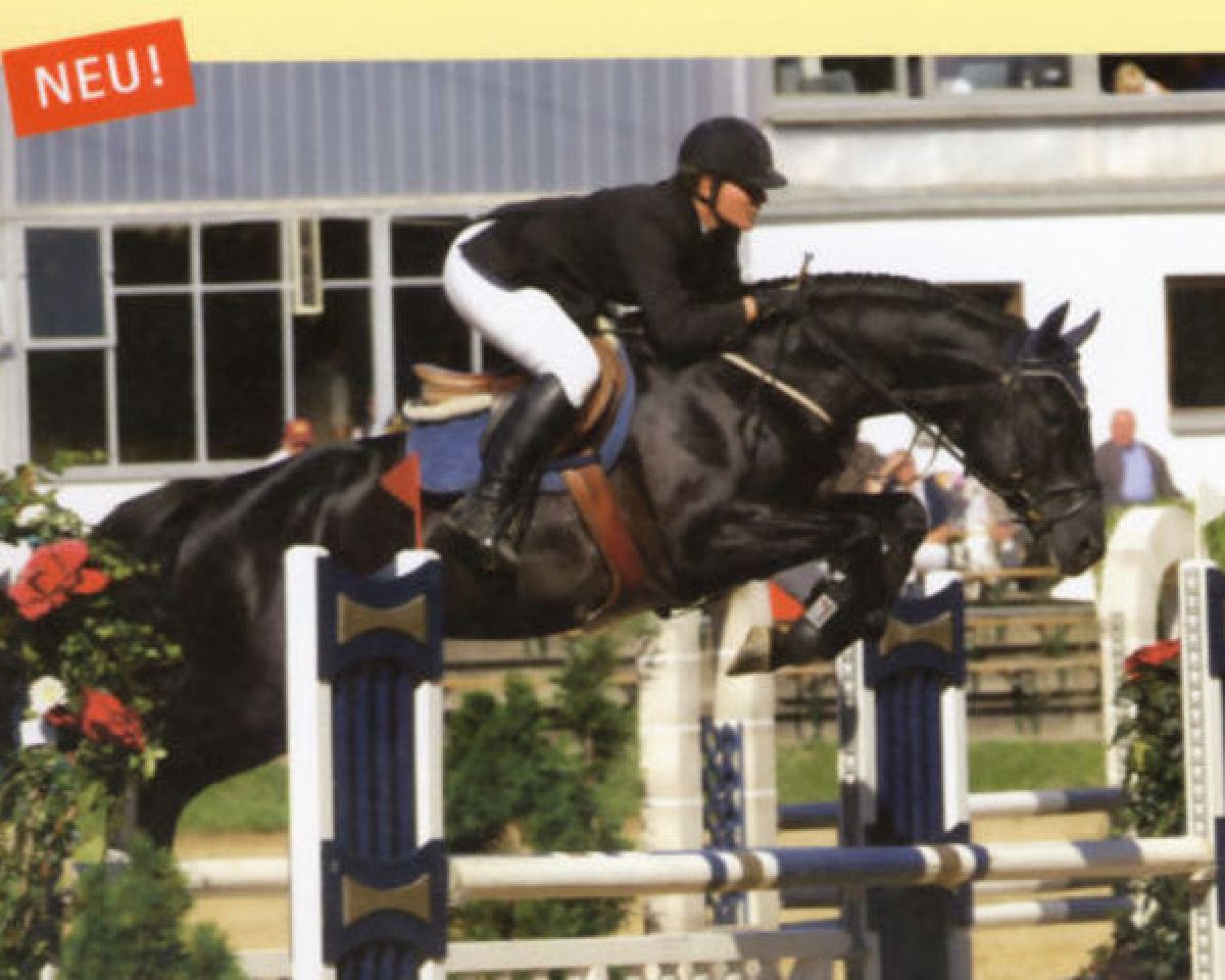stallion Carbo (Bavarian, 2001, from Caretello B)