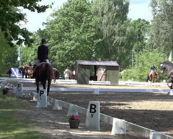 Reitturnier Alvern 2022
