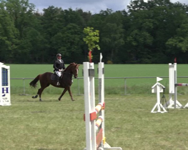 Reitturnier Alvern 2022