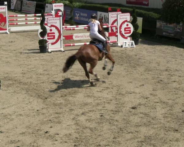 Reitturnier Kirchhellen/Stall Dieckmann 2022