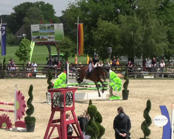 Reitturnier Kirchhellen/Stall Dieckmann 2022
