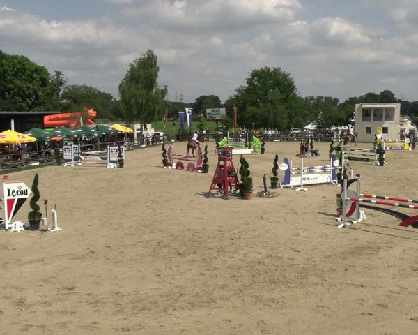 Reitturnier Kirchhellen/Stall Dieckmann 2022