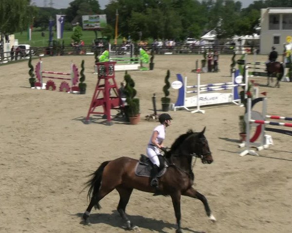 Reitturnier Kirchhellen/Stall Dieckmann 2022