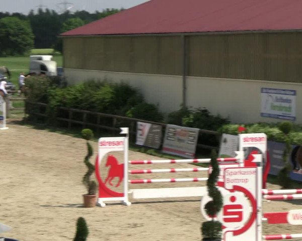 Reitturnier Kirchhellen/Stall Dieckmann 2022
