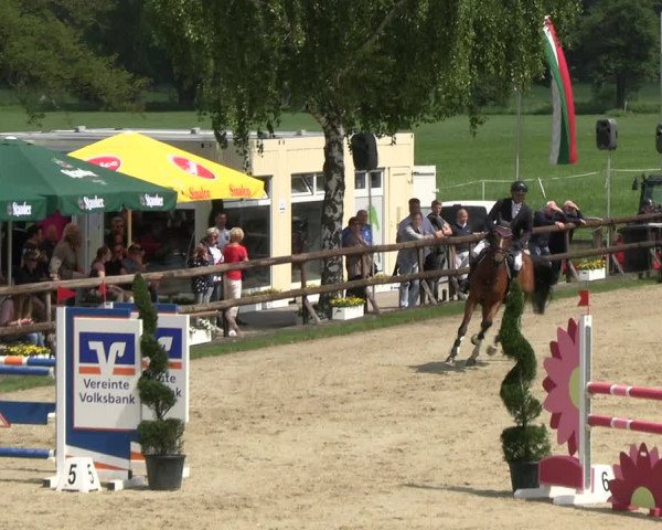 Reitturnier Kirchhellen/Stall Dieckmann 2022