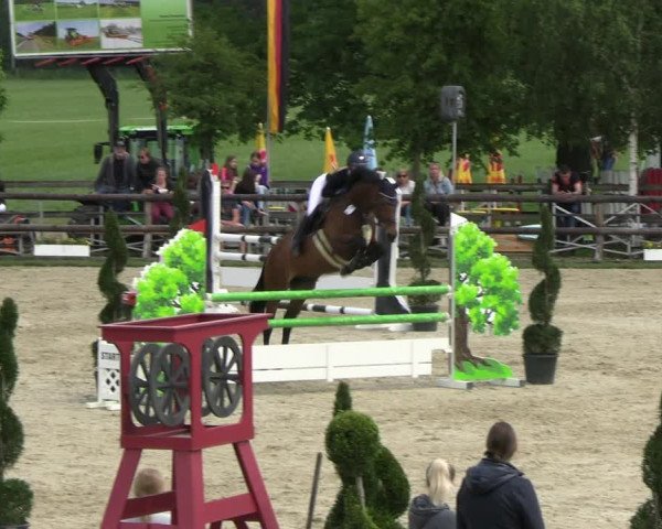Reitturnier Kirchhellen/Stall Dieckmann 2022