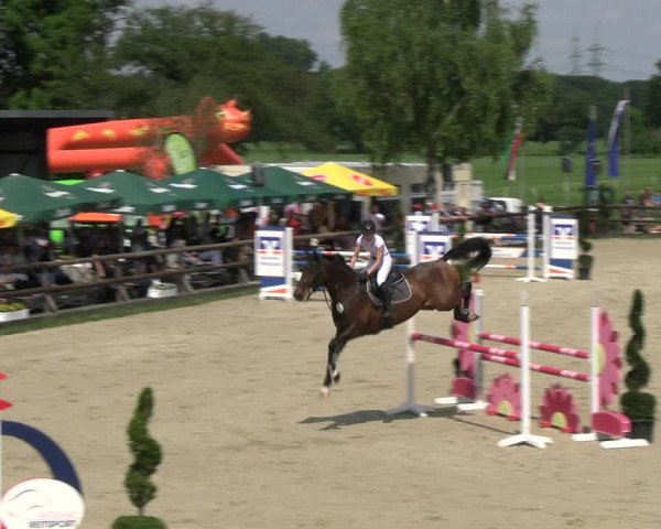Reitturnier Kirchhellen/Stall Dieckmann 2022