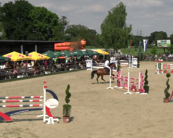 Reitturnier Kirchhellen/Stall Dieckmann 2022