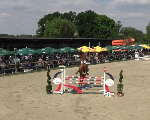Reitturnier Kirchhellen/Stall Dieckmann 2022