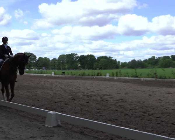 Reitturnier Alvern 2022