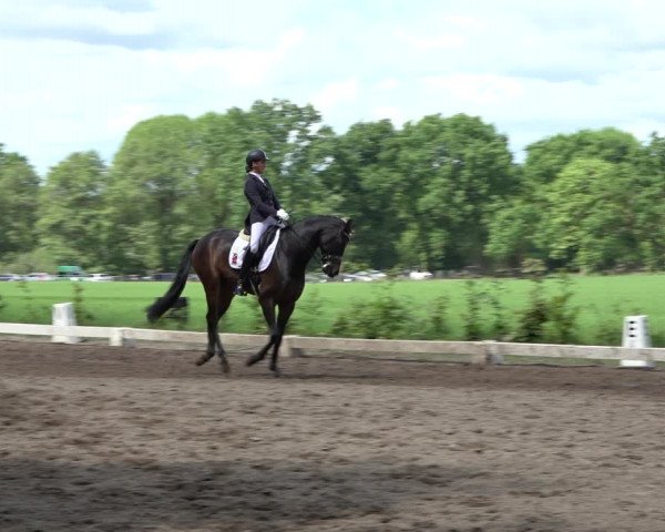 Reitturnier Alvern 2022