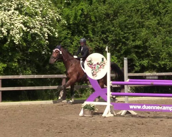 Reitturnier Kleinsolt 2022