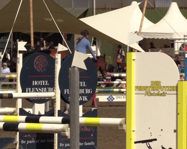 Reitturnier Kleinsolt 2022