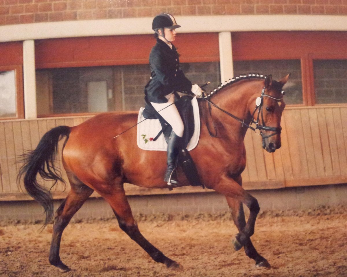 dressage horse Lisco de Alkantara (Selle Français, 1999, from Calisco du Pitray)