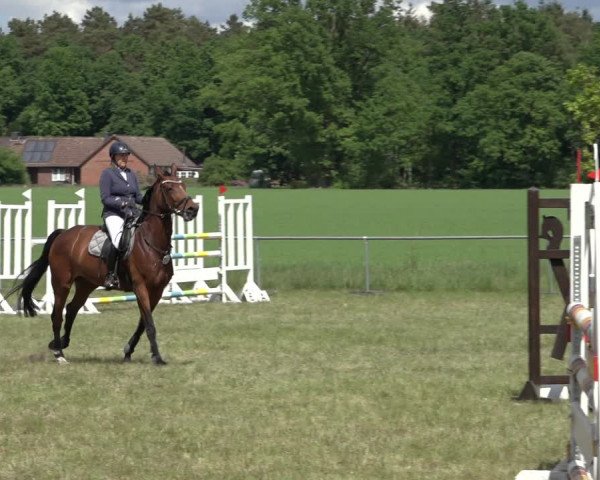 Reitturnier Alvern 2022
