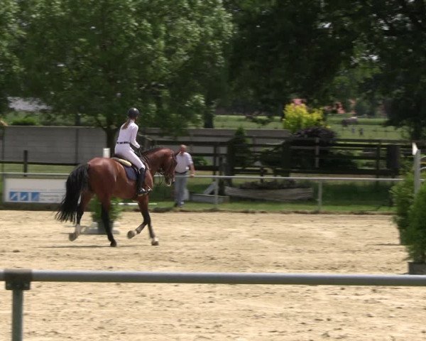 Reitturnier Coesfeld/Lette 2022