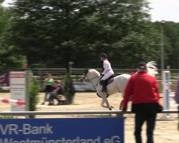 Reitturnier Coesfeld/Lette 2022