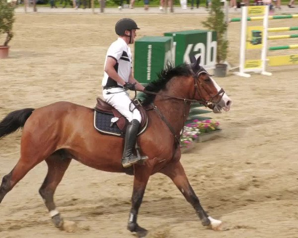 Reitturnier Winnenden 2022