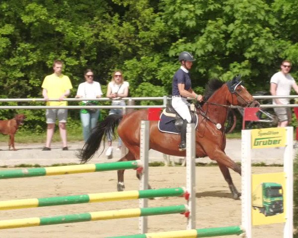 Reitturnier Winnenden 2022