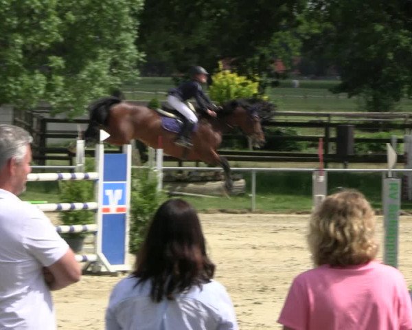 Reitturnier Coesfeld/Lette 2022