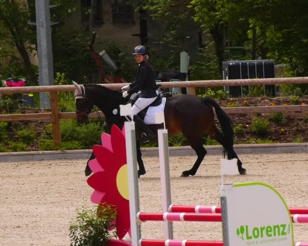 Reitturnier Ruhlsdorf 2022