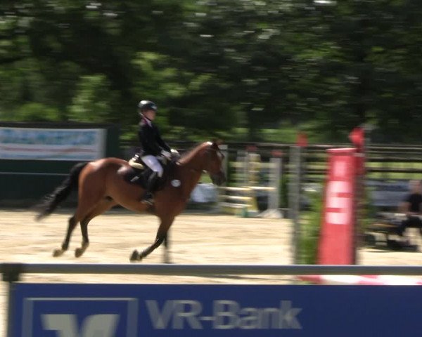 Reitturnier Coesfeld/Lette 2022