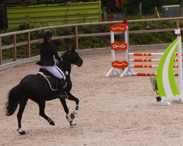 Reitturnier Ruhlsdorf 2022