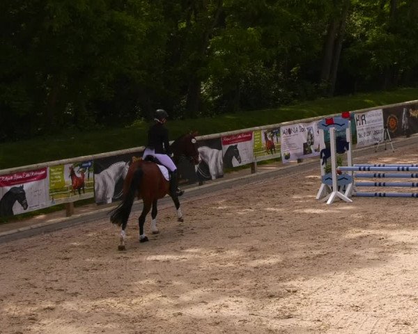 Reitturnier Ruhlsdorf 2022