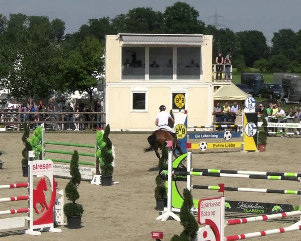 Reitturnier Kirchhellen/Stall Dieckmann 2022
