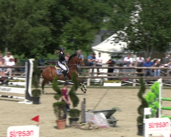 Reitturnier Kirchhellen/Stall Dieckmann 2022